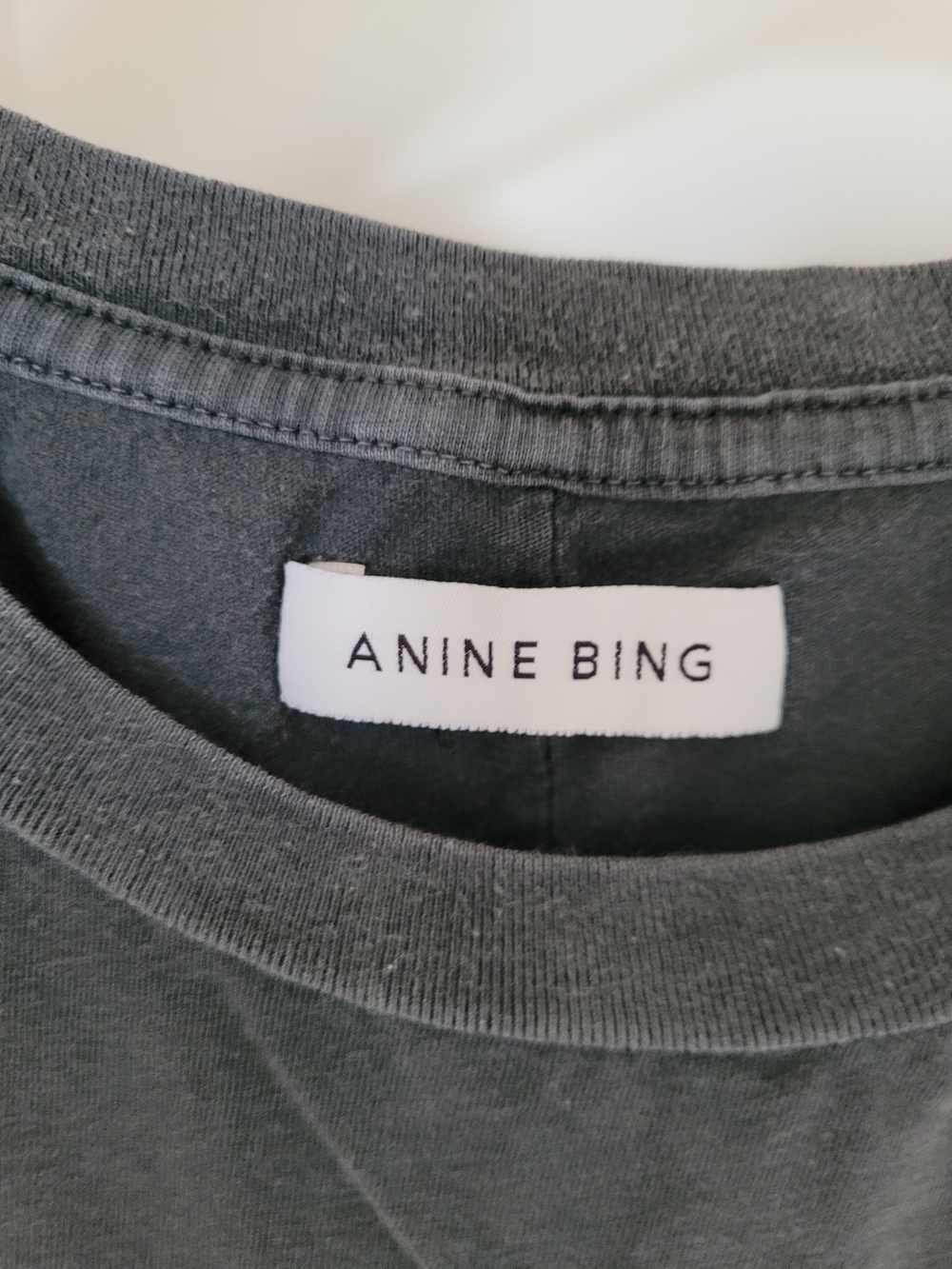 ANINE BING Graphic Eagle Tee in Charcoal with Rust Logo - Picture 6 of 8